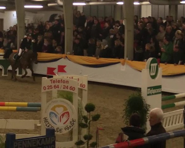 Vreden 2014
09 Pony-Zwei-Phasen-Springprfung K M*