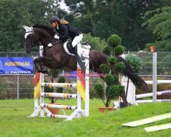 jumper Betty Balou 11 (Hanoverian, 2008, from Balou du Rouet)