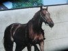 broodmare For You (Holsteiner, 1991, from Calypso I)