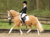 dressage horse Erf- Merlin (German Riding Pony, 2005, from The Braes My Mobility)