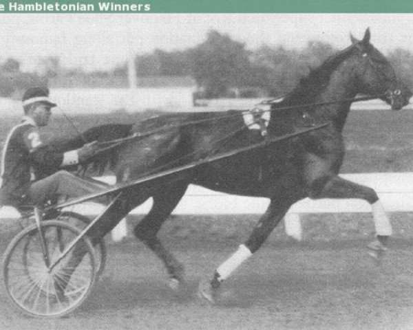 stallion Spencer 68128 (US) (American Trotter, 1925, from Lee Tide US-65306)