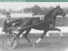 stallion Spencer 68128 (US) (American Trotter, 1925, from Lee Tide US-65306)