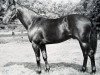 stallion Galophone 88754 (US) (American Trotter, 1952, from Bill Gallon 73350 (US))