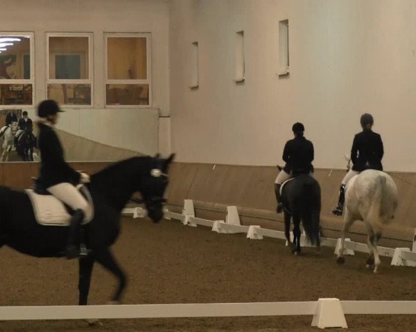 Video of Frailea, Fleurencia B, Eske 7