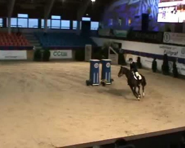 Jumping & Pony-Trophy 2013