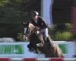 Springpferd Holiday R (Deutsches Reitpony, 2009, von Proud Rocketti)