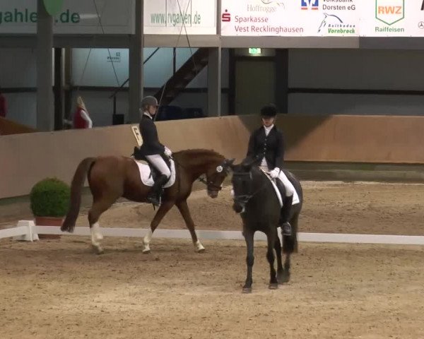 Video of Miracle, Metrix