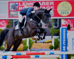 dressage horse Continus Lantus (Westphalian, 2006, from Continus Grannus)