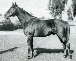 stallion Fastnet xx (Thoroughbred, 1933, from Pharos xx)