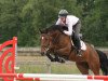 jumper Chambertino 3 (Oldenburg show jumper, 2005, from Chambertin)