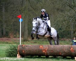 Pferd D'Oxalis (KWPN (Niederländisches Warmblut), 2008, von Indorado)