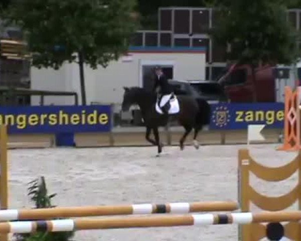 Video of Nemesis 11