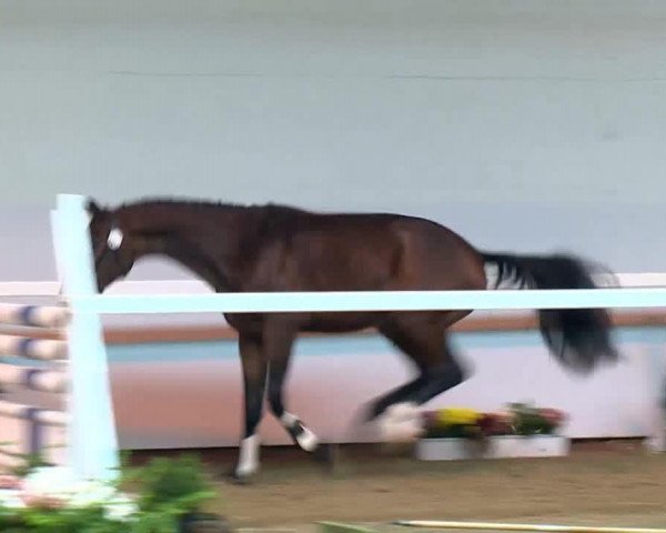 Video of Unbreakable Z