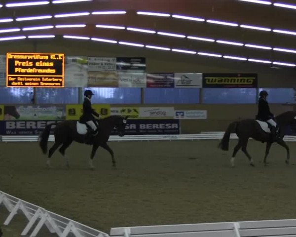 Video of Sir Avalon