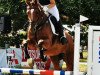 jumper Lara Croft 27 (Oldenburg show jumper, 2004, from Lordanos)