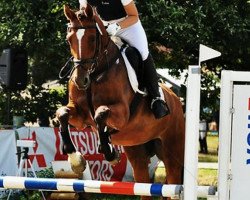 jumper Lara Croft 27 (Oldenburg show jumper, 2004, from Lordanos)