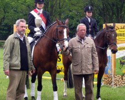 dressage horse Dusty Bijou (German Riding Pony, 2000, from Dornik B)