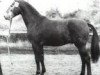 stallion Gran Fernando (Hanoverian, 1984, from Gardestern I)