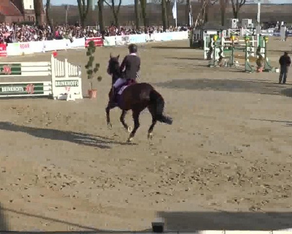 Lenklarer Reitertage auf der Reitsportanlage Gripshöver 2013
