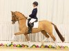 Zuchtstute Desert Rose B (Deutsches Reitpony, 2010, von FS Don't Worry)