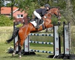 Springpferd (Pik Rubin) Time Breaker van het Overwater (KWPN (Niederländisches Warmblut), 2000, von Pik Labionics)