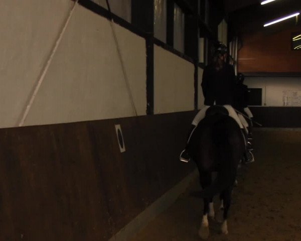Video of Benny, Thistledown Lowry