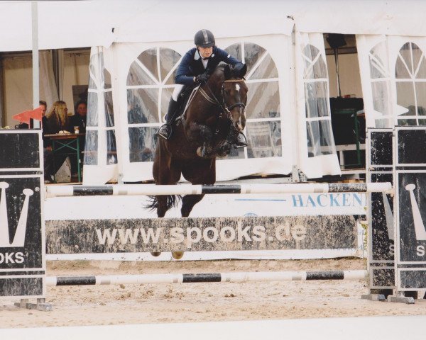 horse Carioca (Oldenburg, 2003, from Concetto I)