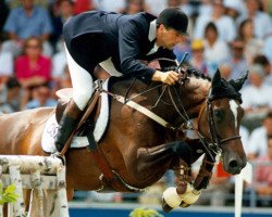 broodmare Carrera la Silla (KWPN (Royal Dutch Sporthorse), 1984, from Joost)