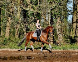 broodmare Apanatschi (Rhinelander, 2001, from Abanos)