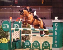 broodmare Quarkini S (Oldenburg show jumper, 2006, from Quidam's Rubin)