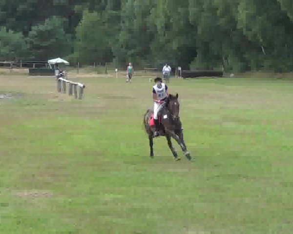 Trakehnerhof Valluhn Vielseitigkeitsturnier
03.-04.08.2013 02 Vielseitigkeitsprüfung KL. L - Gelände