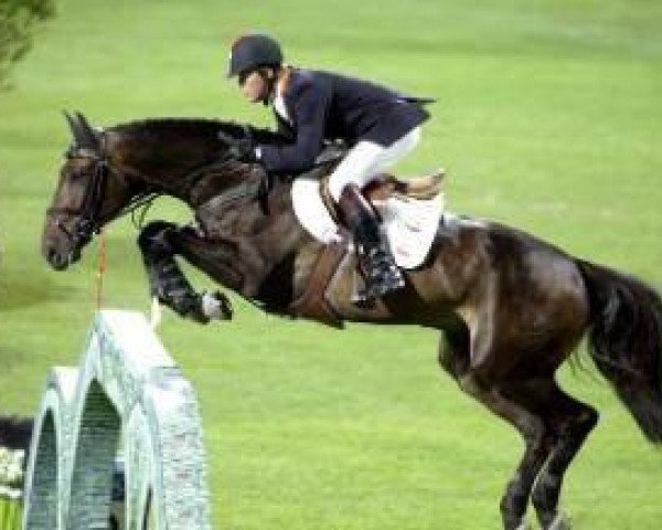 horse Eurocommerce Montreal (Holsteiner, 1993, from Athlet Z)