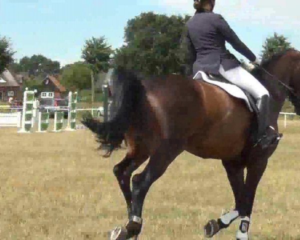 Trakehnerhof Valluhn Vielseitigkeitsturnier
03.-04.08.2013 02 Vielseitigkeitsprüfung KL. L - Springen
