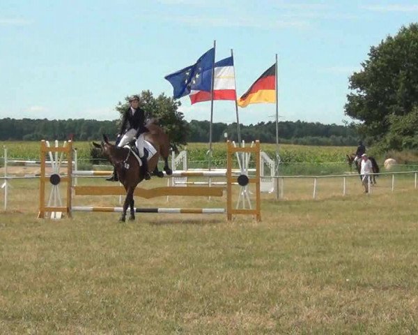 Trakehnerhof Valluhn Vielseitigkeitsturnier
03.-04.08.2013 02 Vielseitigkeitsprüfung KL. L - Springen
