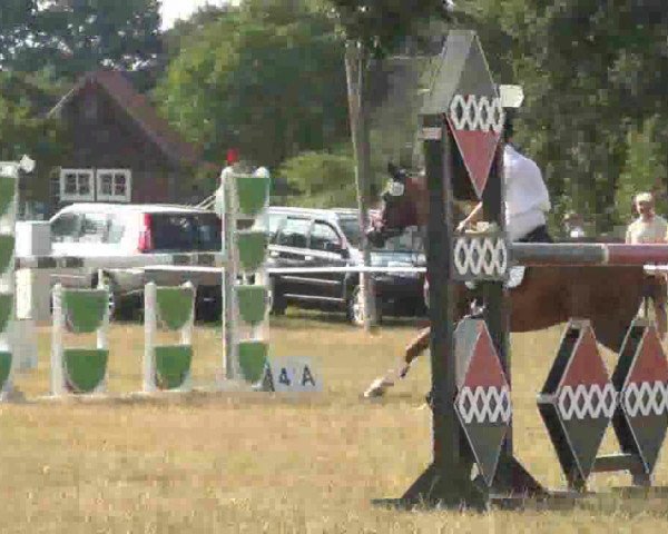 Trakehnerhof Valluhn Vielseitigkeitsturnier
03.-04.08.2013 02 Vielseitigkeitsprüfung KL. L - Springen

