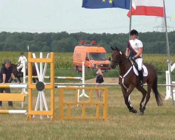 Trakehnerhof Valluhn Vielseitigkeitsturnier
03.-04.08.2013 01 Vielseitigkeitsprüfung KL. A** - Springen
