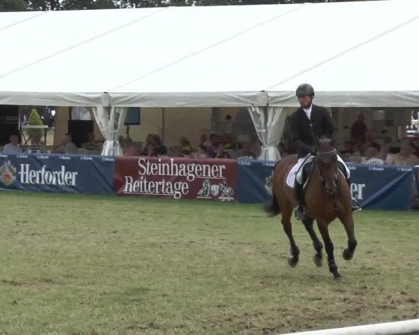 Video of qatar-dhof-ten-bos