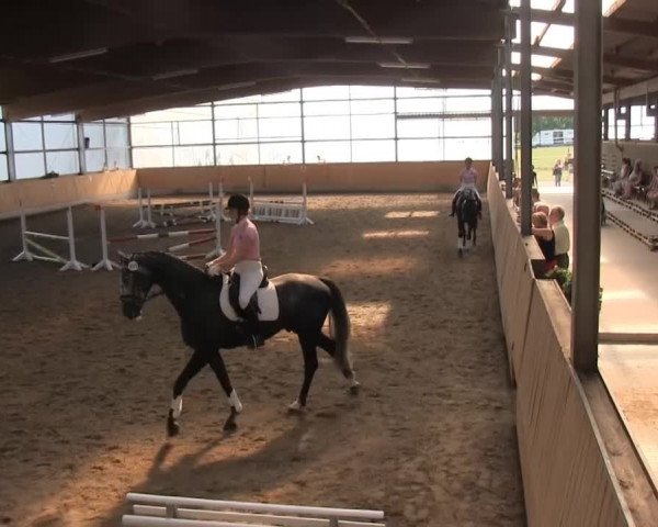 Video of Cristello