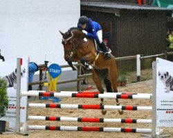 Springpferd Daquinta V (KWPN (Niederländisches Warmblut), 2008, von London)