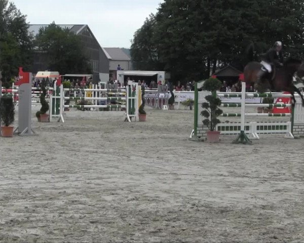 Sommerturnier Brakel 2013 14.07.2013 28 Springprüfung Kl. S* m. Siegerrunde