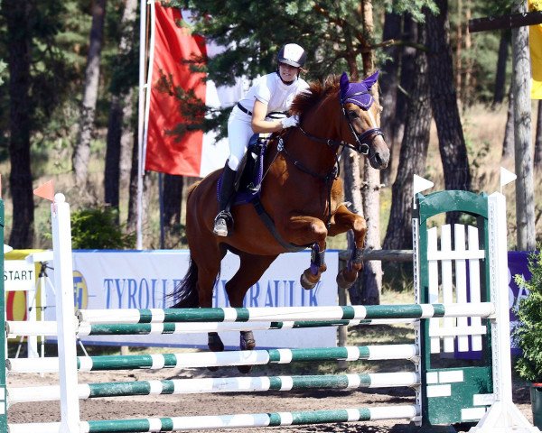 horse Franziskanerin 3 (German Sport Horse, 2007, from Landfriese II)