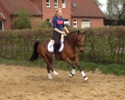 dressage horse Larissa 832 (German Riding Pony, 2009, from Monaco)