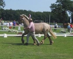 broodmare Elenor (Rhenish-German Cold-Blood, 2010, from Emilio)