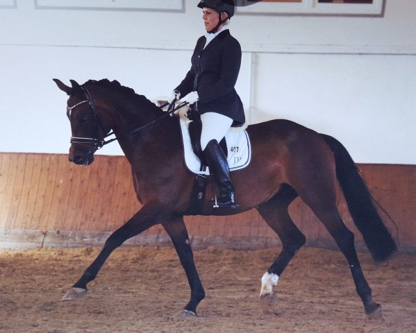dressage horse Fascina R (Westphalian, 2007, from Fürst Grandios)