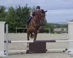 broodmare La Colette 2 (Württemberger, 2006, from Wolkenstern)