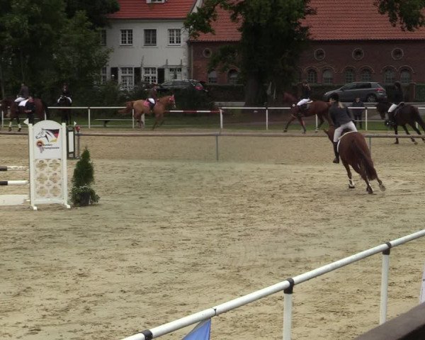 Reitturnier Ostenfelde-Vornholz 2021