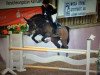 jumper La mia Vita (KWPN (Royal Dutch Sporthorse), 2005, from Clooney)