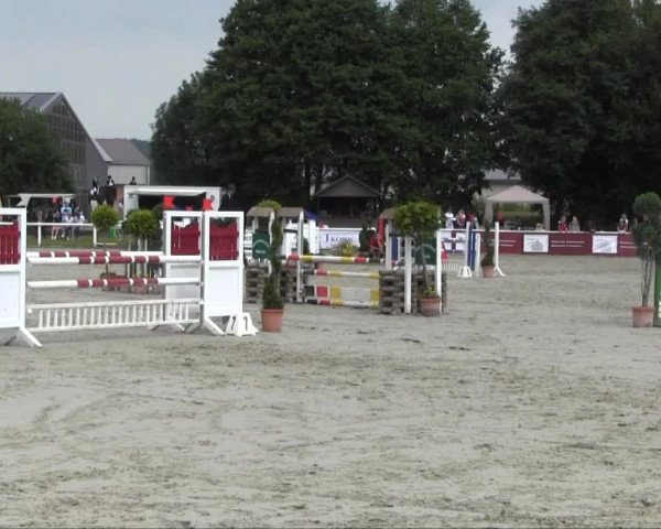 Sommerturnier Brakel 2013 12.07.2013 15 Stilspringprüfung Kl. L 1. WP SOW Jun/JR LK 3 u. 4