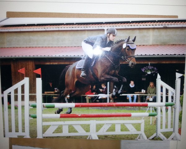 jumper Tannenzauber (Trakehner, 2007, from Freudenfest)