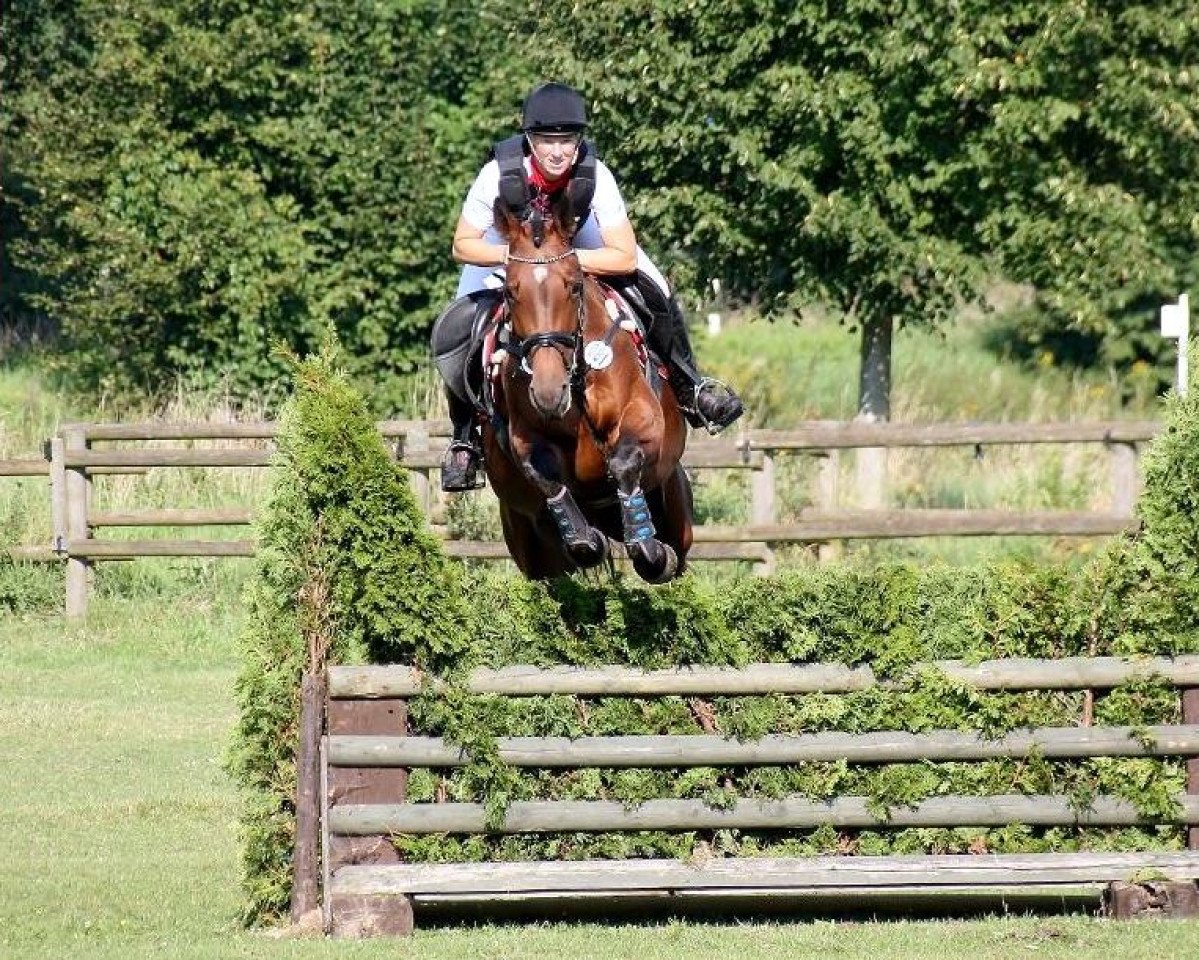 broodmare Chrisbee W (Westphalian, 2008, from Cordobes I)